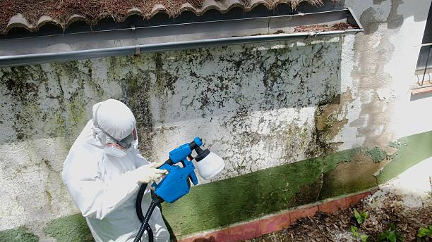 Top rated local Basement Mold Removal specialists in Aaronsburg, PA